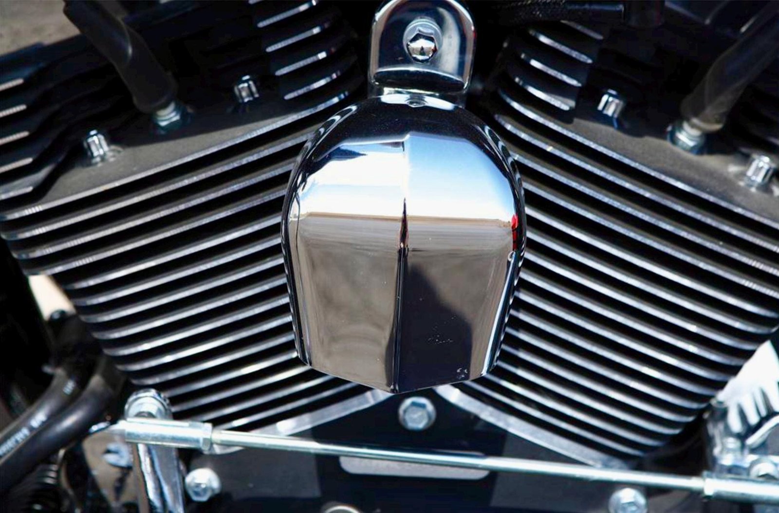 RARE FIND Engraved Harley Horn Cover — Winged Skull Engraving • One-of-a-Kind Harley Touring models: 1993-2023 custom engraved motorcycle accessory shown in product photos by The Steel Canvas SKU HD-HORN-01